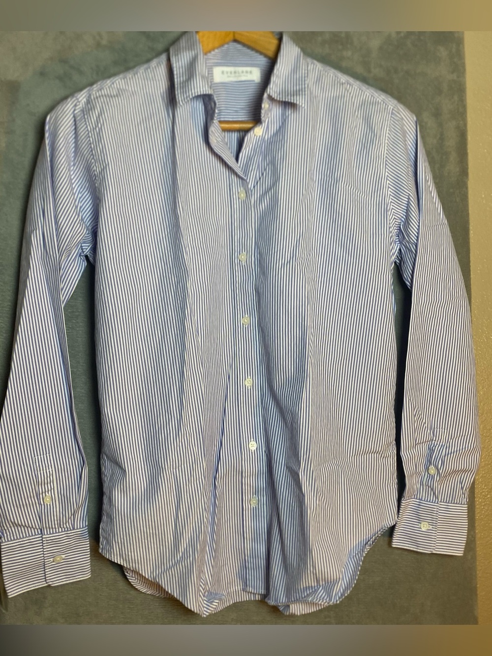 Everlane 2 button up Long Sleeve stripped modest casual professional capsule